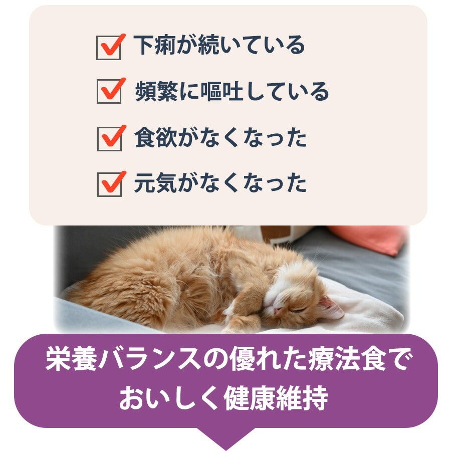 ベッツウェル 猫用食事療法食 消化器ケア 可溶性繊維 500g（NK