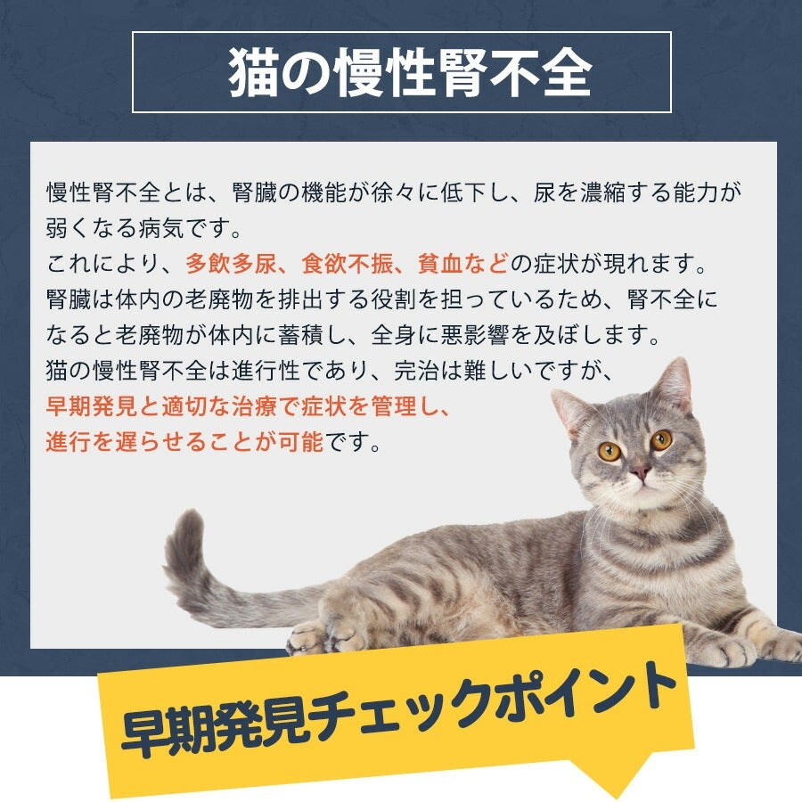 ベッツウェル 猫用食事療法食 腎臓ケア 2kg（NK） | フェレット