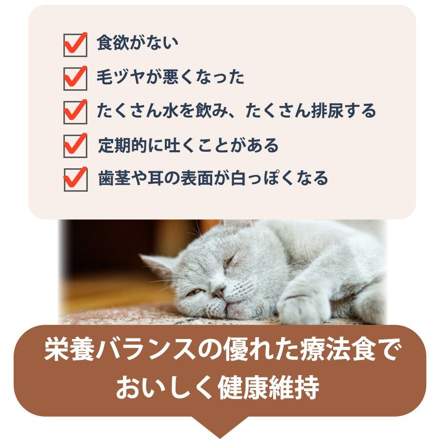 ベッツウェル 猫用食事療法食 腎臓ケア 2kg（NK） | フェレット