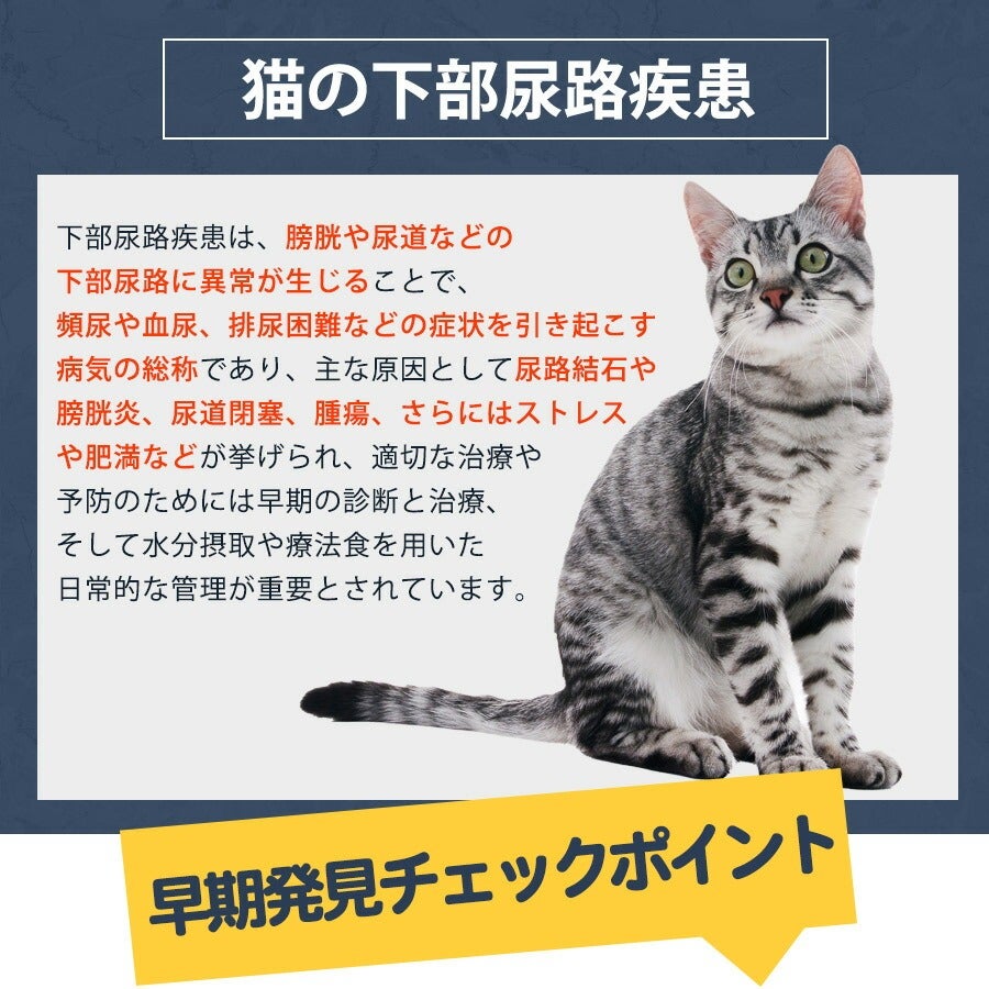 000000004703-05.jpg?size=l&w=