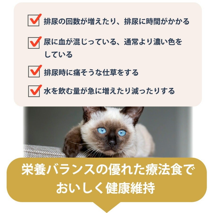 ベッツウェル 猫用食事療法食 下部尿路ケア 低脂肪 2kg（NK