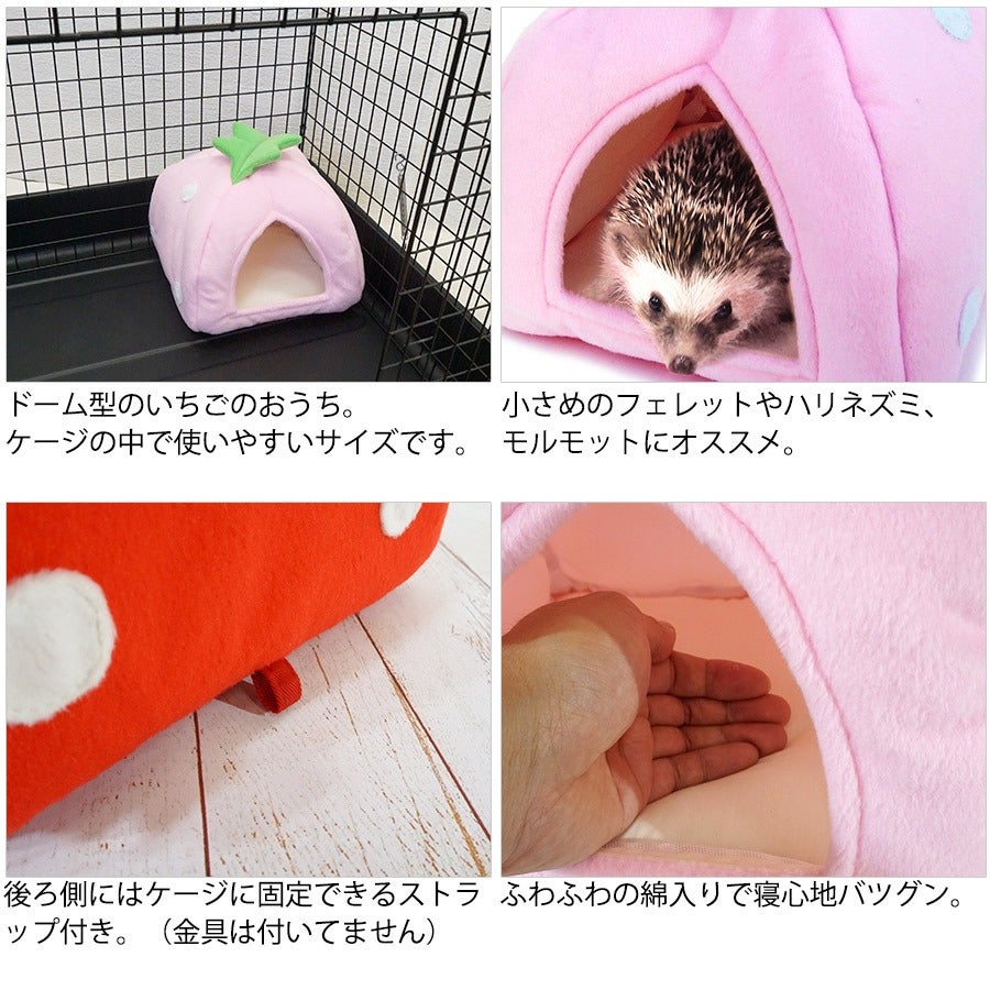 RB】みんなのテントハウス (F2) | フェレットワールド WEB SHOP