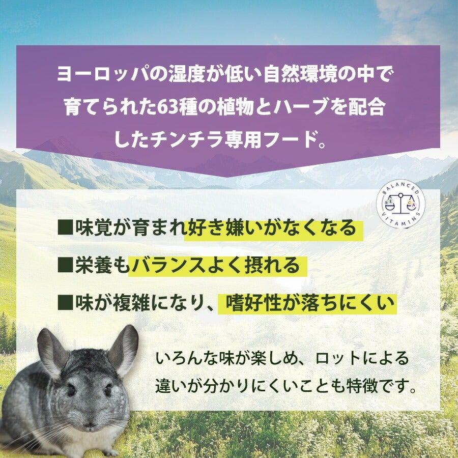 バニーネイチャー チンチラドリーム ベーシック 1.2kg（F4）（NK