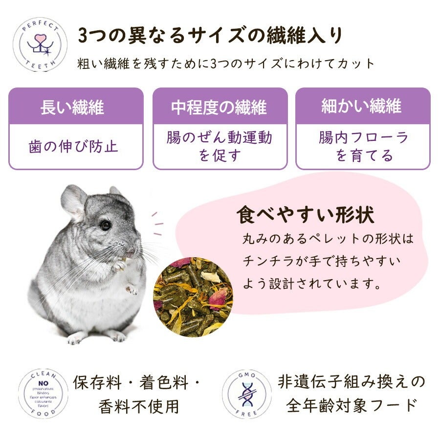 バニーネイチャー チンチラドリーム ベーシック 1.2kg（F4）（NK
