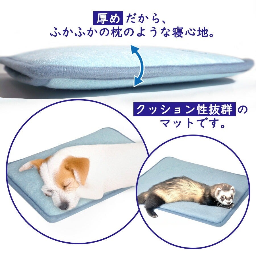 ひんやり冷却マット ユカクール ミニ | フェレットワールド WEB SHOP