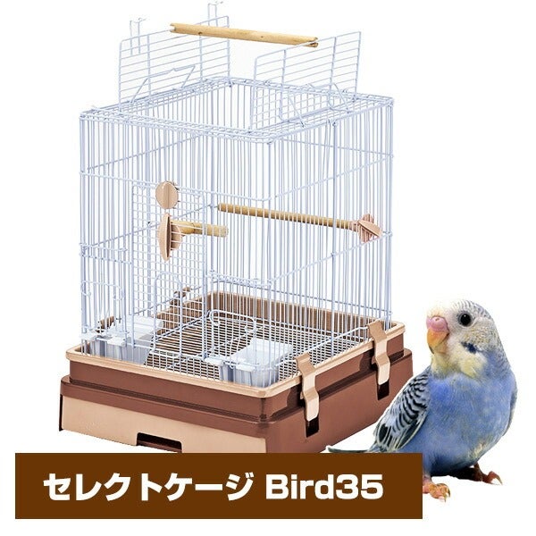 インコ専用ケージ Amazon | FX-SHYQYYMZ クリアアクリル鳥かご 複数飼い大型インコ