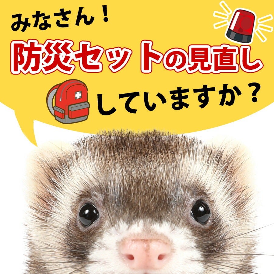 セット商品】フェレット防災セット 入れ替え用(トート無し
