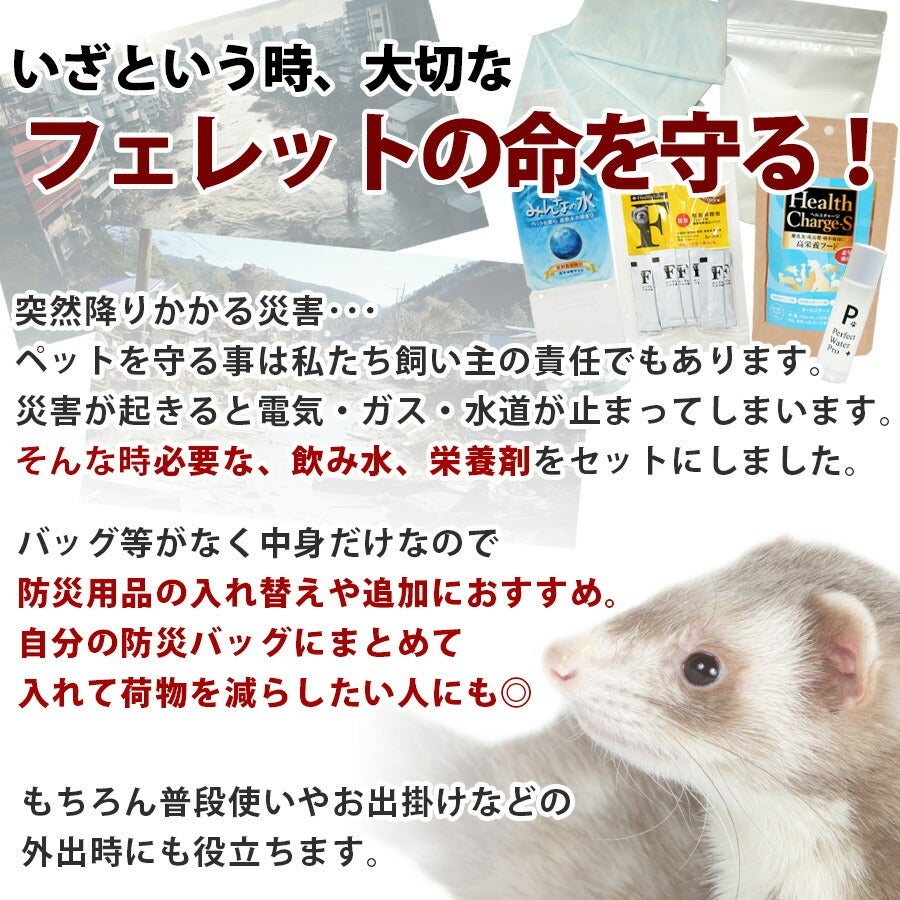 セット商品】フェレット防災セット 入れ替え用(トート無し