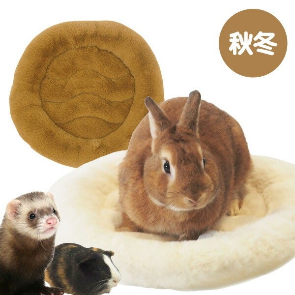フェレット用品17点 小動物 | フェレットワールド WEB SHOP