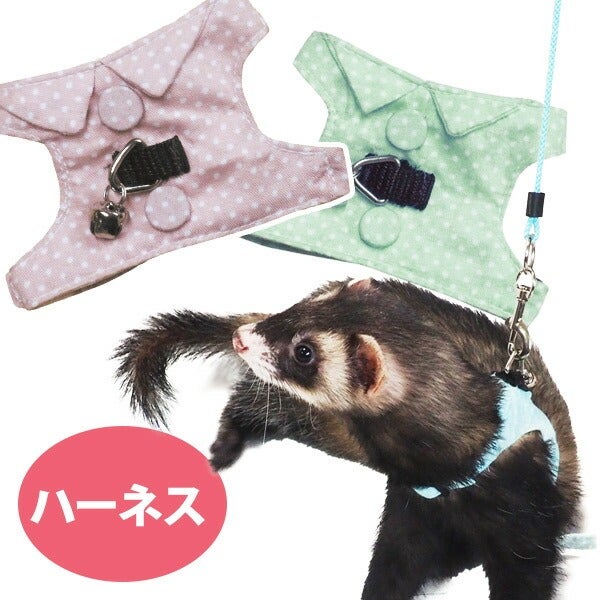 洋服 | フェレットワールド WEB SHOP