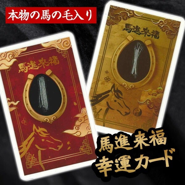 ゆうパケットOK（メール便） | フェレットワールド WEB SHOP
