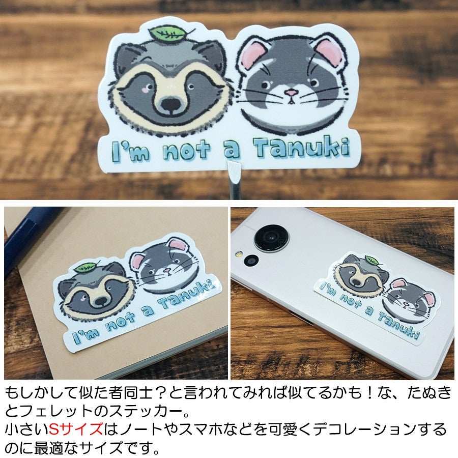 フェレットグッツ｜ステッカー たぬきじゃないよ Sサイズ｜ UV加工