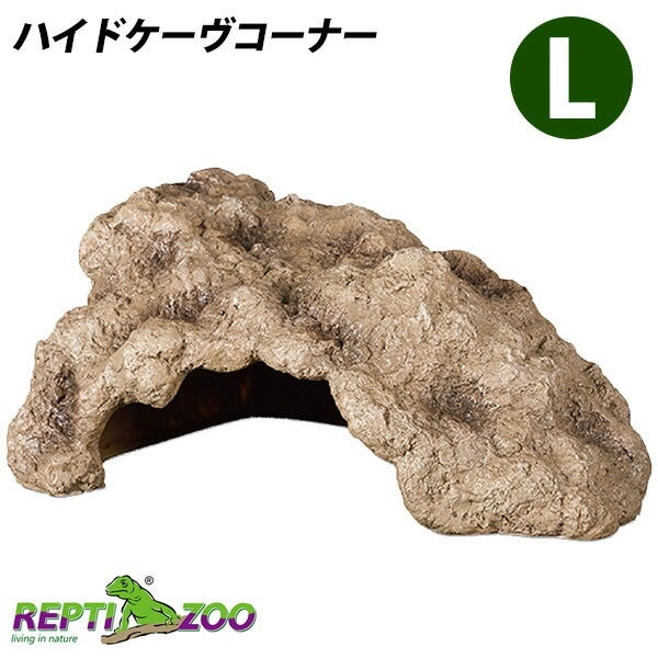爬虫類 | フェレットワールド WEB SHOP