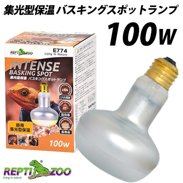 爬虫類 | フェレットワールド WEB SHOP