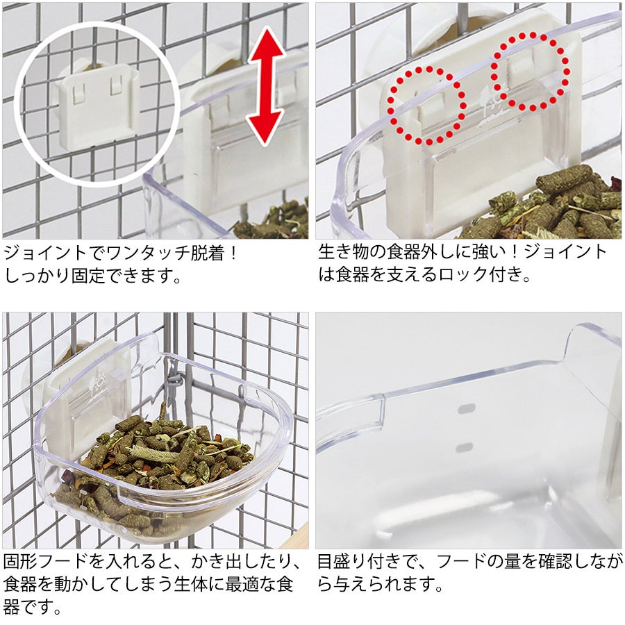 フェレット 食器 三晃商会 ワンタッチ 固定食器 M