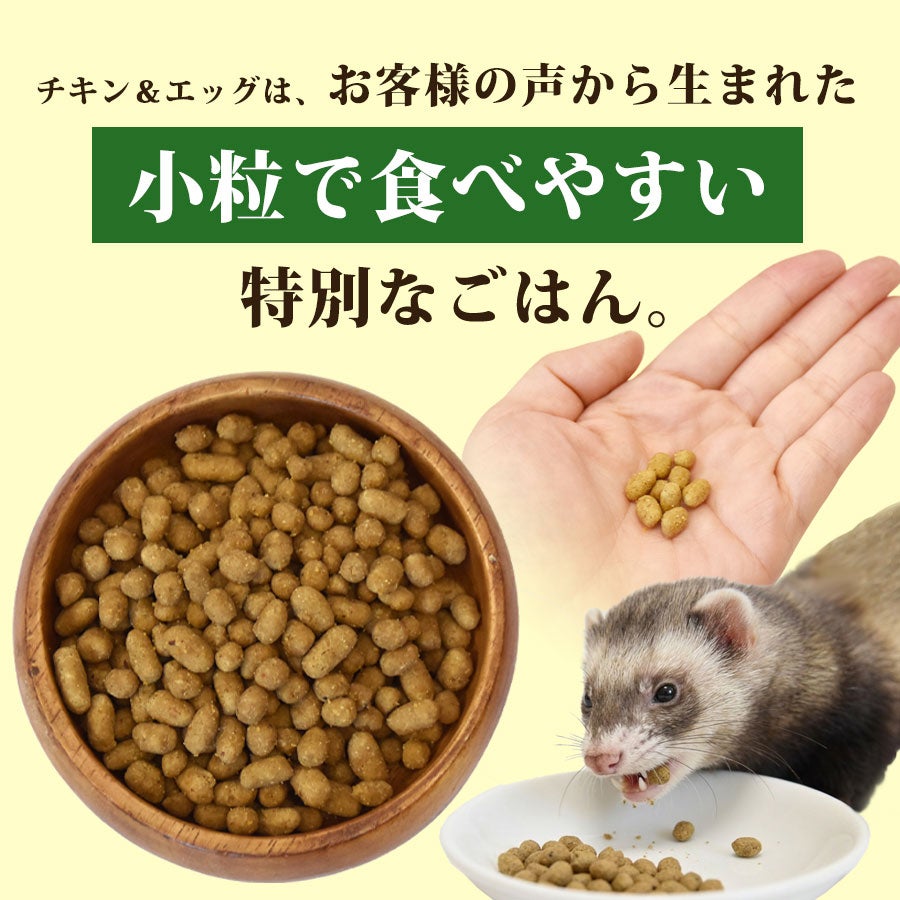 フェレット フード ジャパンフェレミアム チキン＆エッグ 240g ヘルス