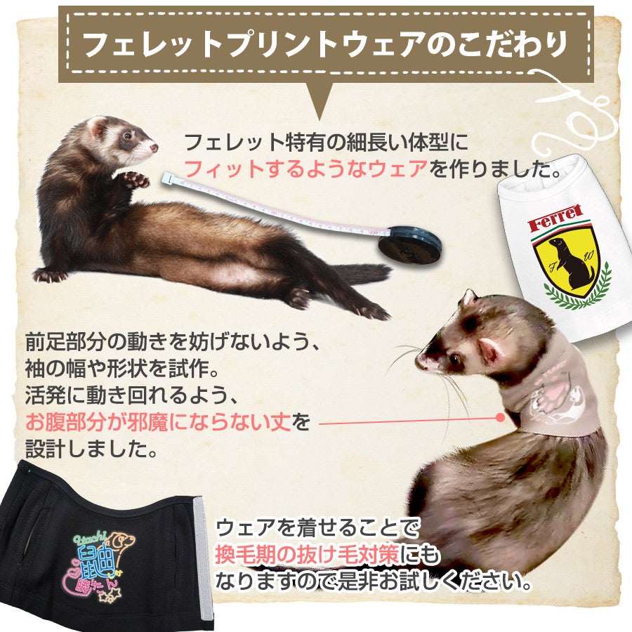 フェレット 洋服｜LIP3060 フェレットプリントウェア｜フェレット